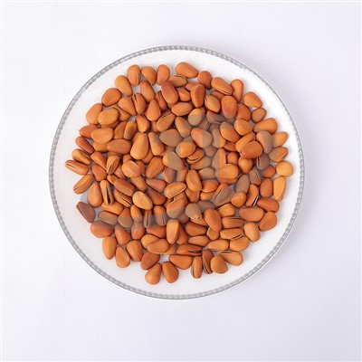 Fried Qhib Pine Ceev