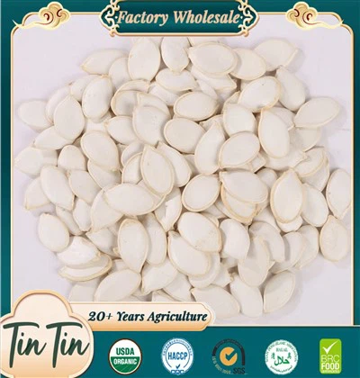 BLANCHED NEW CROPS PEANUT KERNELS 2529